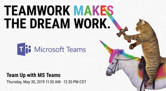Microsoft Teams Cat
