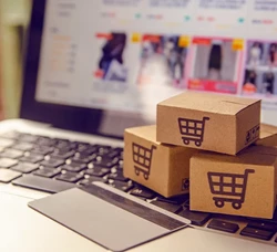 Propel your business forward with our custom e-commerce website solutions, including: